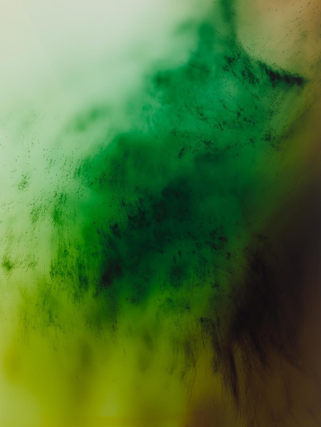 Taylor Art Collection- Wolfgang Tillmans